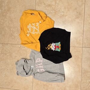 Lot of 3 sweatshirts and hoodie Size 18-24 months
